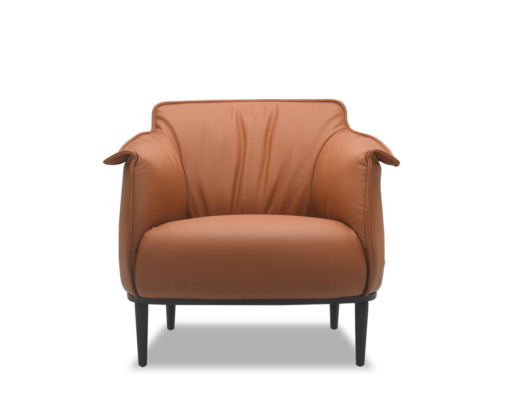 Brown leather armchair on a white background