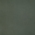 Solid dark green color swatch