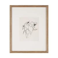 Framed line drawing of a plant on a white background