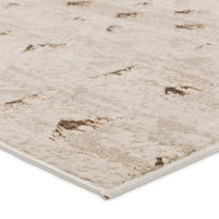 Close-up of a textured beige rug with brown accents on a white background