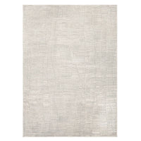 Textured area rug with a neutral color palette on a white background