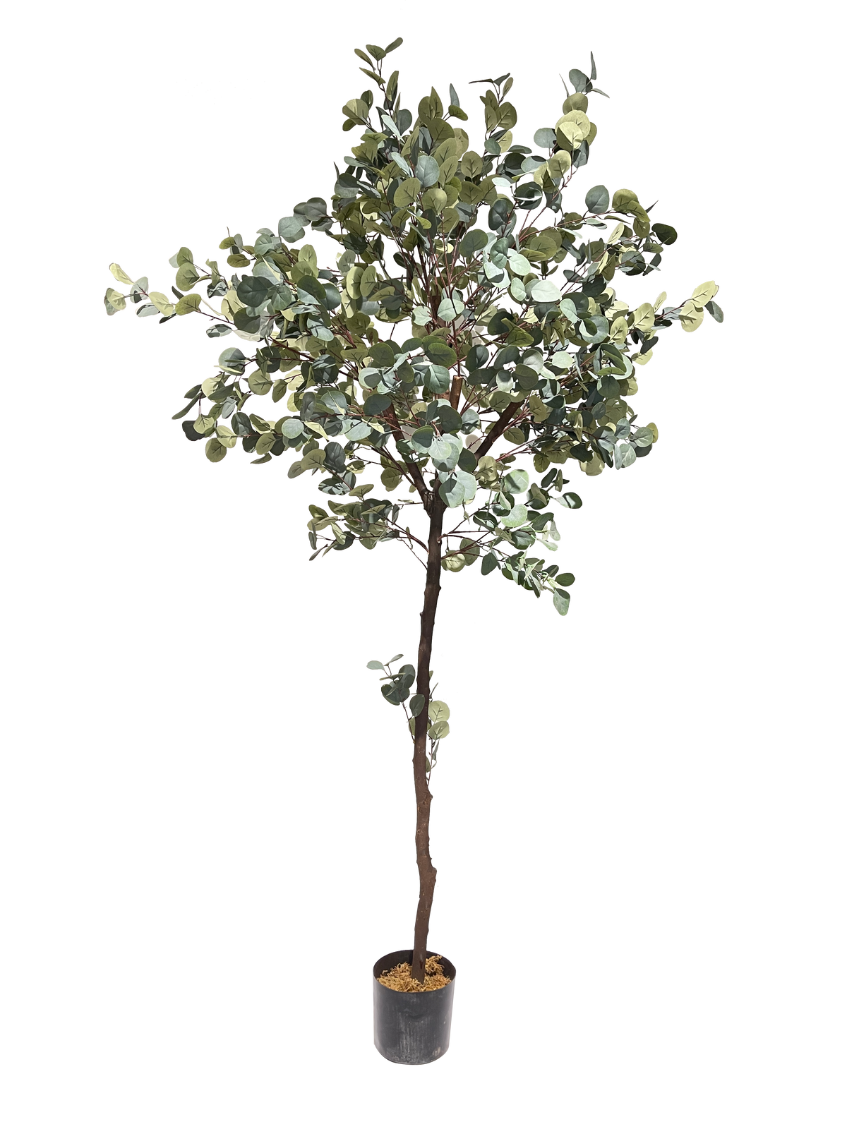 An artificial Eucalyptus plant with dense foliage in a pot, suitable for indoor use.