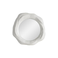A middle Organic form mirror with a white background