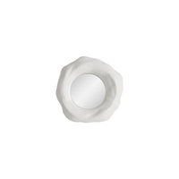 A small Organic form mirror with a white background