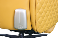 Jay Recliner Chair - Gold