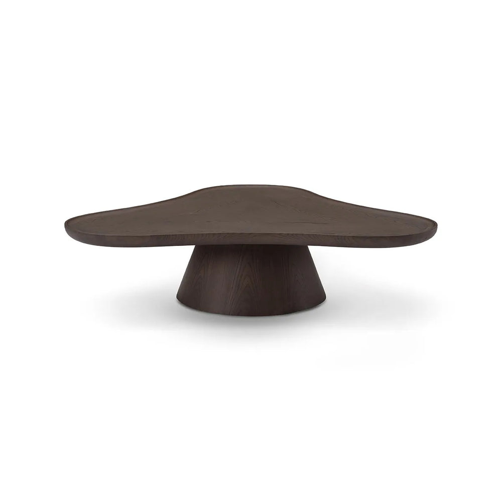 Modern dark wood coffee table on a white background