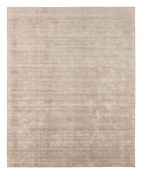 Beige area rug with a subtle pattern on a white background