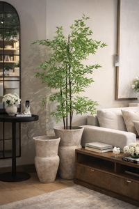 Living room with a large potted plant, sofa, and decorative items.