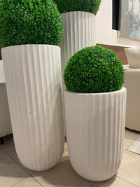 Three spherical topiary plants in white pots on a white background